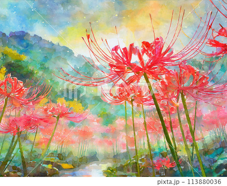 彼岸花 曼殊沙華 コスモス のじぎく 猫じゃらし 水彩画 絵画 花の絵 秋