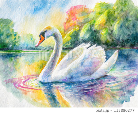 水彩で描いた白鳥のイラストのイラスト素材 [113880277] - PIXTA