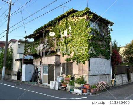 蔦が絡まる古い家 113880406