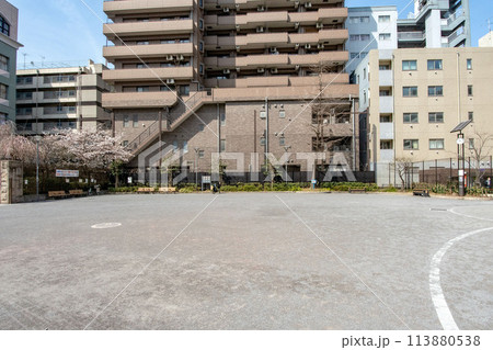 東京都千代田区外神田、千代田区立芳林公園 113880538