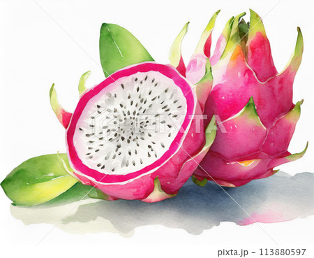 ドラゴンフルーツ 113880597
