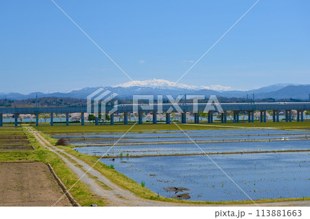 残雪の白山 木場潟の桜 北陸新幹線 小松市 残雪の白山 木場潟の桜 北陸新幹線 小松市 113881663