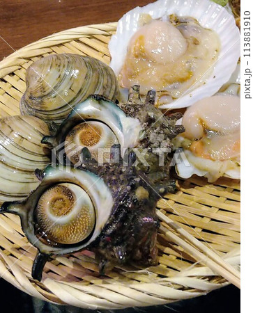 貝焼き 貝焼き 113881910