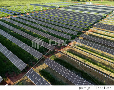 solar energy plant in rural area 113881967