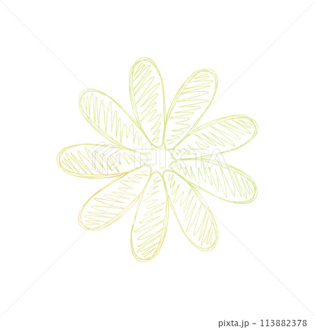 お花のイラスト　手書き 113882378
