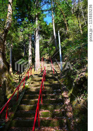 赤瀬那殿観音　参道　小松市 113883236