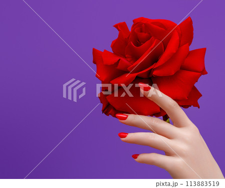 Red manicured nails . Nail care . Beauty delicate Red manicured nails . Nail care . Beauty delicate 113883519