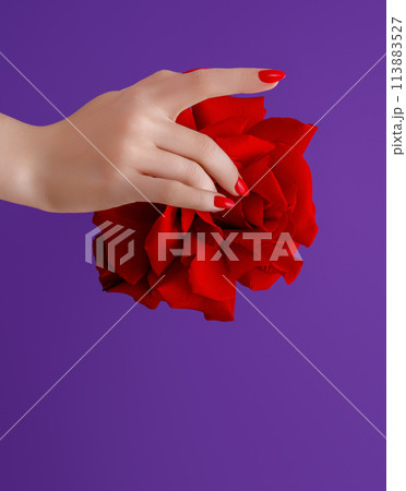 Red manicured nails . Nail care . Beauty delicate Red manicured nails . Nail care . Beauty delicate 113883527