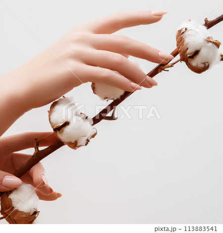 Trend milk manicure . milky look . Beautiful Woman 113883541