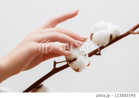 Trend milk manicure . milky look . Beautiful Woman Trend milk manicure . milky look . Beautiful Woman 113883548