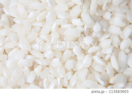 rice grains background rice grains background 113883603