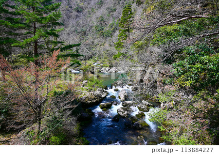 荒俣峡　景勝地　小松市 113884227