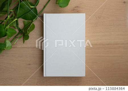 Book with blank cover and empty cover Book with blank cover and empty cover 113884364