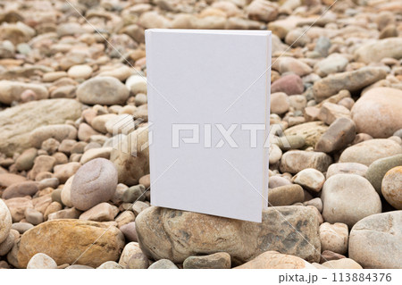 White paper with empty cover and space to enter text White paper with empty cover and space to enter text 113884376