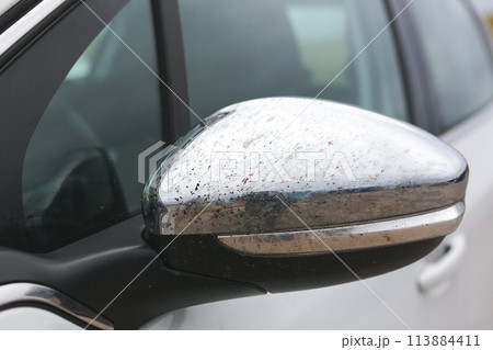 Insects crashed against a white car Insects crashed against a white car 113884411
