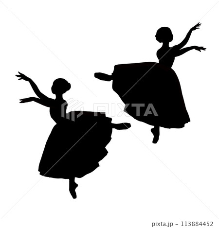 妖精のように踊るふたりのバレリーナのシルエット 113884452