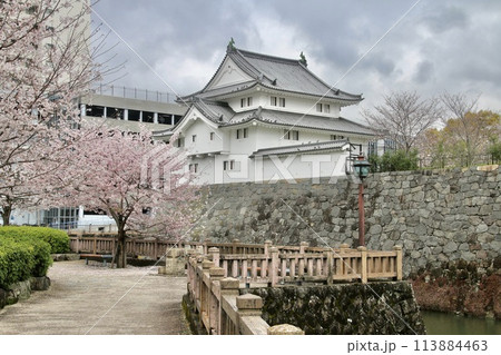 駿府城・坤櫓・駿府城公園（静岡県・静岡市） 113884463