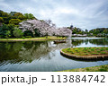 横浜の風景　三渓園の春 113884742