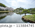 横浜の風景　三渓園の春 113884745