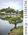 横浜の風景　三渓園の春 113884746