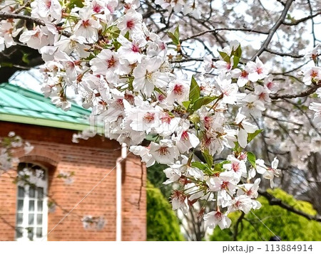 春の牛久シャトー　国指定重要文化財 113884914
