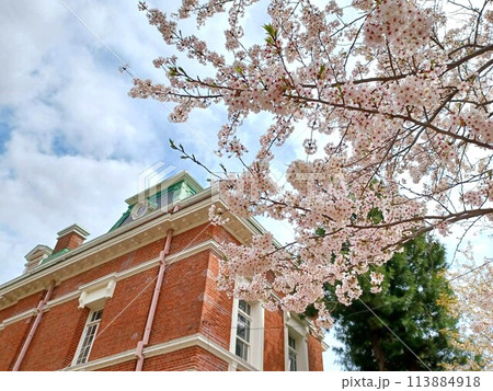 春の牛久シャトー 国指定重要文化財 春の牛久シャトー 国指定重要文化財 113884918