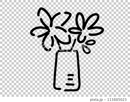 Cute botanical foliage plants / hand-drawn illustrations Cute botanical foliage plants / hand-drawn illustrations 113885023