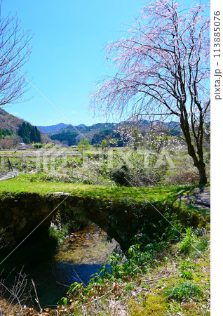 がやま橋 桜 滝ヶ原アーチ石橋群 小松市 がやま橋 桜 滝ヶ原アーチ石橋群 小松市 113885076