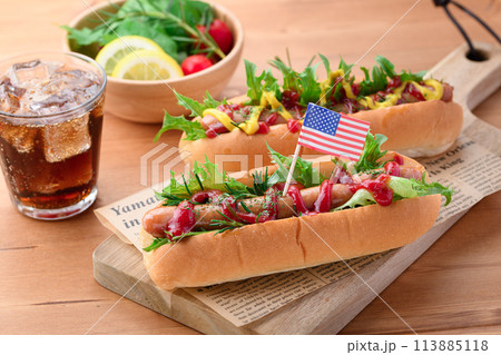 ホットドッグ 113885118