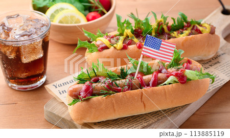 ホットドッグ 113885119