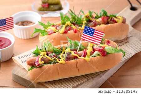 ホットドッグ 113885145