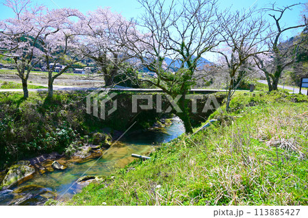 西山橋　西口川　桜　滝ヶ原アーチ石橋群　小松市 113885427