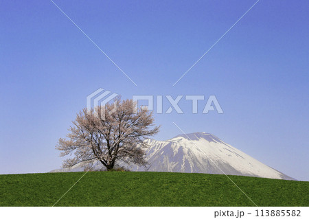 岩手山と一本桜 113885582