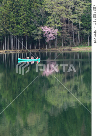 中綱湖　桜咲く春 113885887