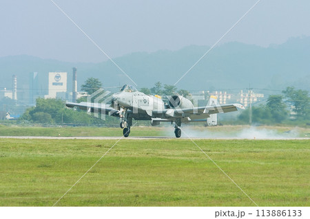 アメリカ空軍A-10AサンダーボルトⅡ着陸 アメリカ空軍A-10AサンダーボルトⅡ着陸 113886133