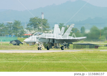 アメリカ海軍F/A-18Cホーネット着陸 113886137