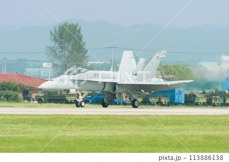 アメリカ海軍F/A-18Cホーネット着陸 113886138
