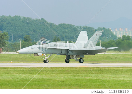 アメリカ海軍F/A-18Cホーネット着陸 113886139