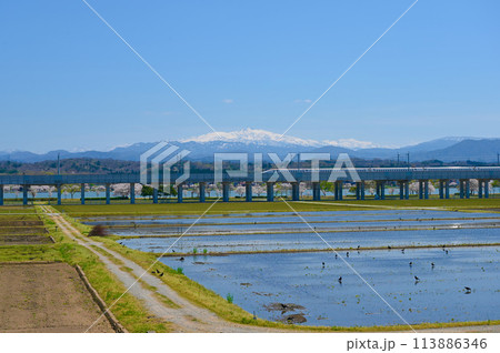 春 白山 木場潟の桜 北陸新幹線 小松市 春 白山 木場潟の桜 北陸新幹線 小松市 113886346