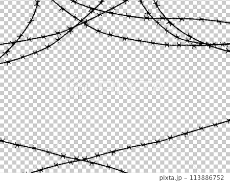 交差する有刺鉄線のヘッダーフッター　4：3 113886752