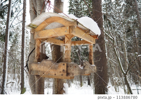 Hanging homemade feeder or platform for feeding birds and squirrels in winter and spring during hungry times. Feeders for birds and squirrels in a forest or city park. 113886780