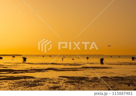夕暮れの海と飛行機 113887481