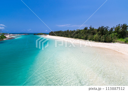 エメラルドグリーンの海と白い砂浜 113887512