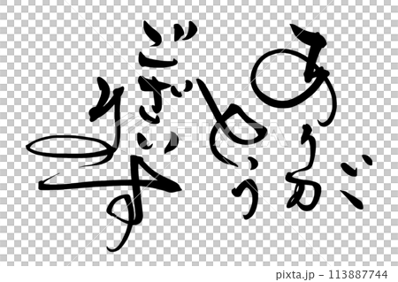 筆文字　ありがとうございます .n 113887744