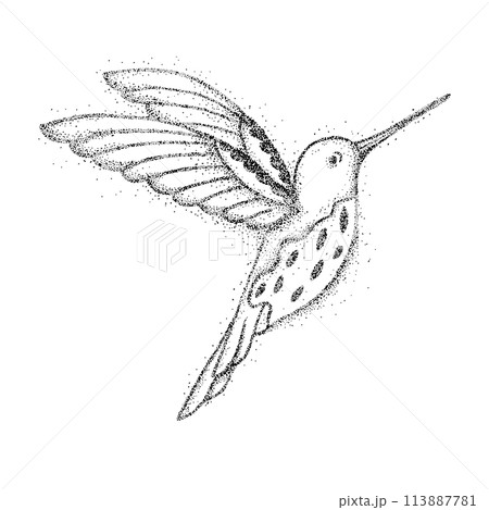 Detailed Black and White Dotwork Illustration of a Hummingbird in Flight 113887781