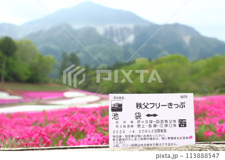 秩父フリーきっぷ(羊山公園芝桜の丘) 秩父フリーきっぷ(羊山公園芝桜の丘) 113888547