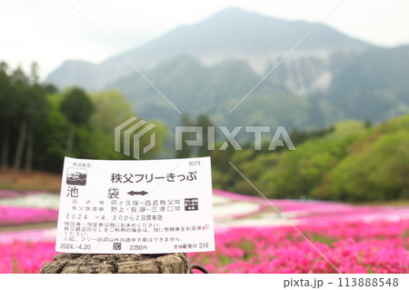 秩父フリーきっぷ(羊山公園芝桜の丘) 秩父フリーきっぷ(羊山公園芝桜の丘) 113888548