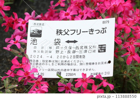 秩父フリーきっぷ(羊山公園芝桜の丘) 秩父フリーきっぷ(羊山公園芝桜の丘) 113888550