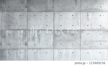 Texture of gray cement 113889236
