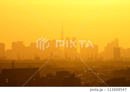 朝陽に浮かび上がる新宿副都心 113889547